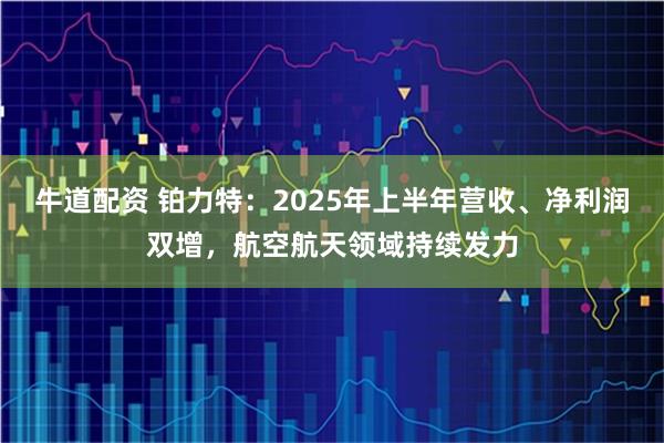 牛道配资 铂力特：2025年上半年营收、净利润双增，航空航天领域持续发力
