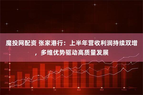 魔投网配资 张家港行：上半年营收利润持续双增，多维优势驱动高质量发展