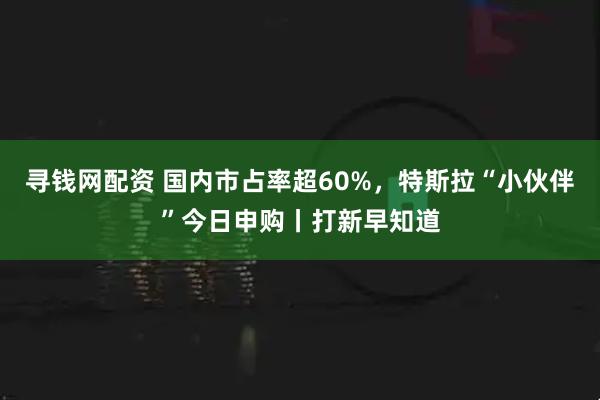 寻钱网配资 国内市占率超60%，特斯拉“小伙伴”今日申购丨打新早知道