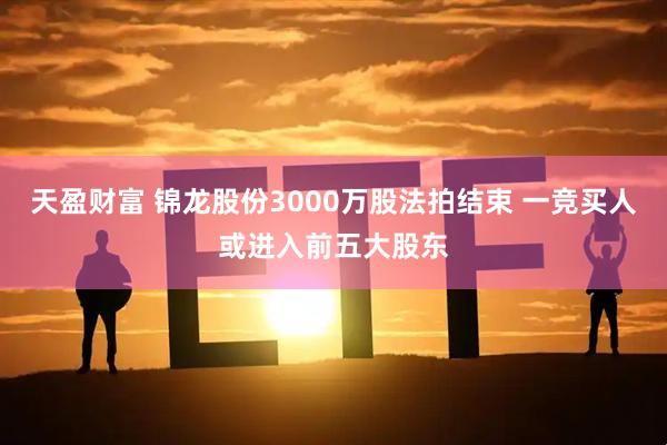 天盈财富 锦龙股份3000万股法拍结束 一竞买人或进入前五大股东