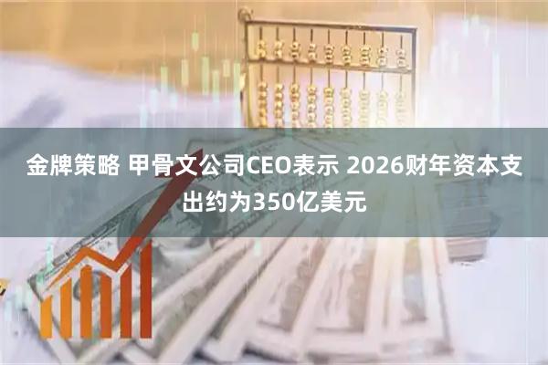 金牌策略 甲骨文公司CEO表示 2026财年资本支出约为350亿美元